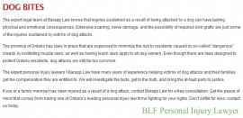 BLF Personal Injury Lawyer, Ajax