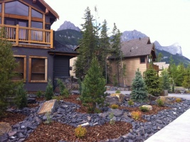 Solkor, Canmore