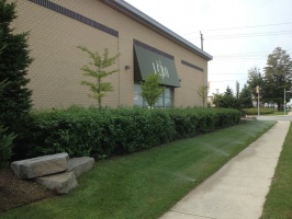 Cardinal Irrigation Systems, Barrie
