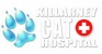 Killarney Cat Hospital Logo