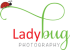 Ladybug Photography Logo
