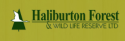 Haliburton Forest Paddles Logo
