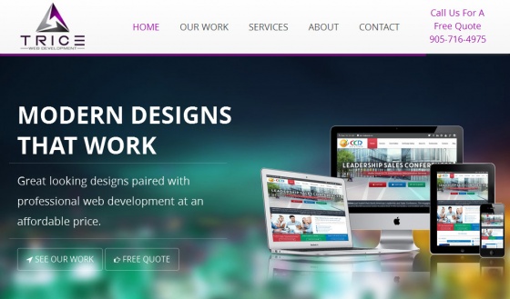 Trice Web Development - Attractive Web Design Services Toronto